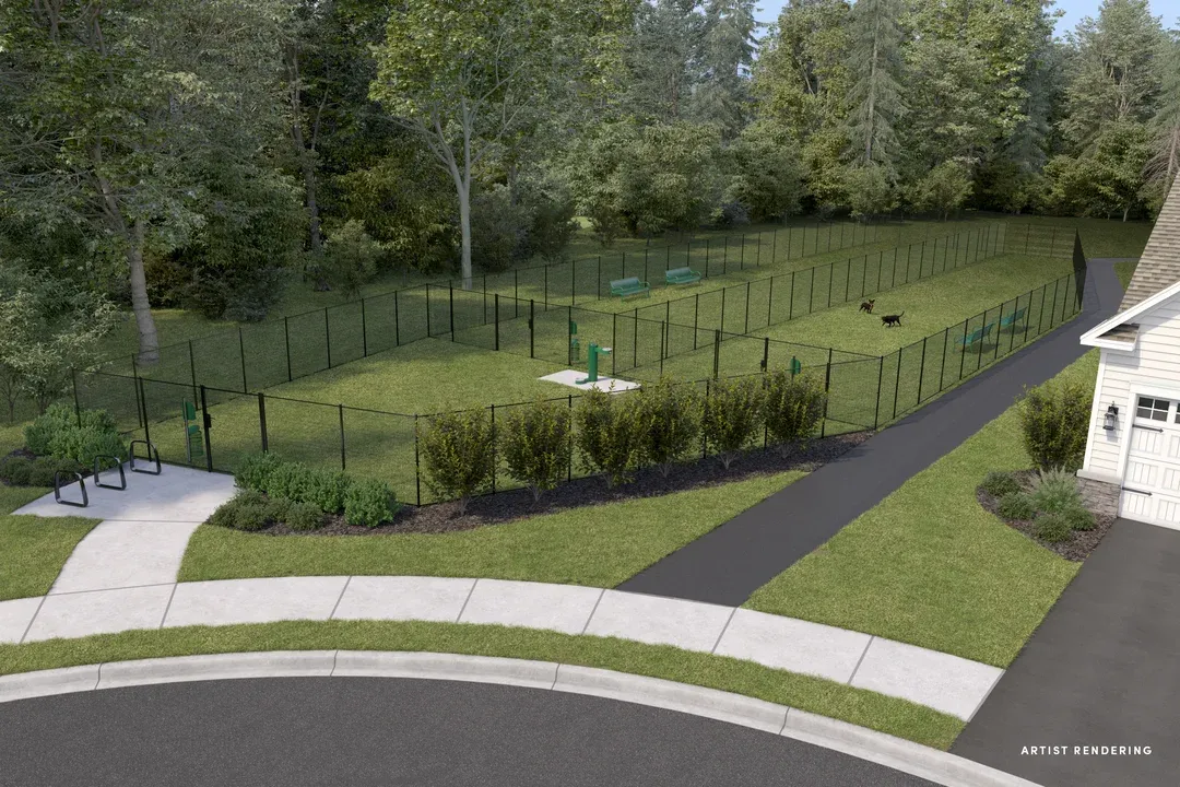 Dog Park- Artist Rendering