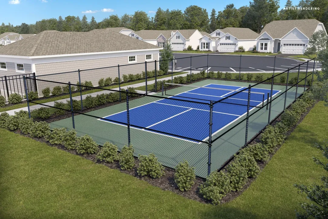 All Purpose Courts- Artist Rendering