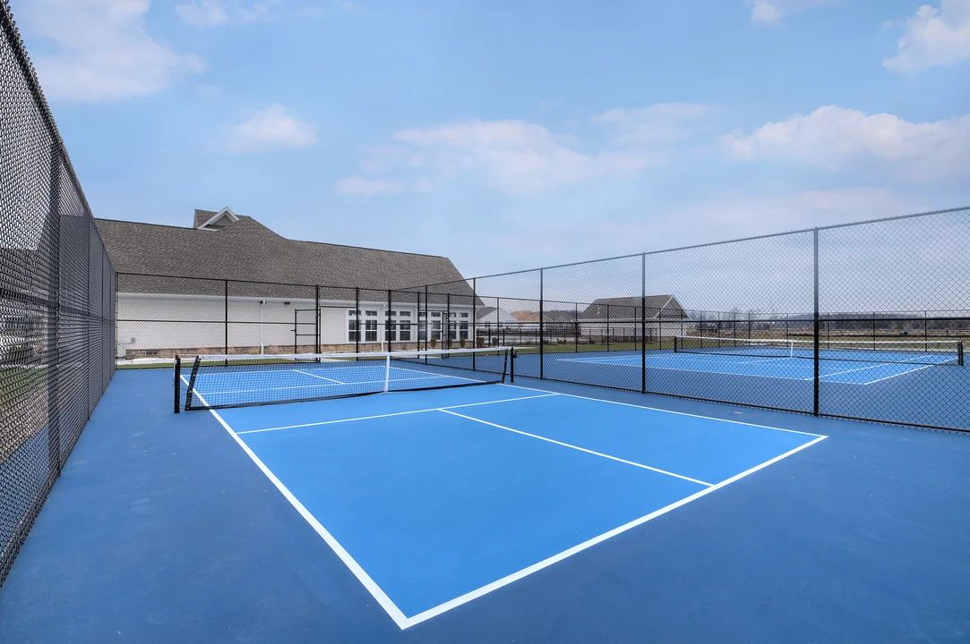 Pickleball Court