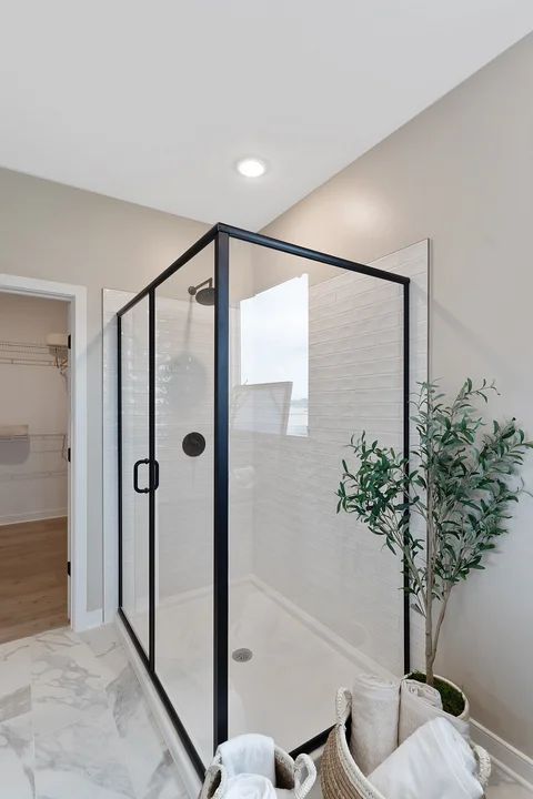 Primary Bath Shower