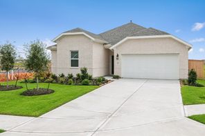 121 Knight Bayou Dr (Passionflower II)