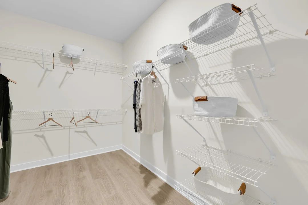 Primary Walk-in Closet