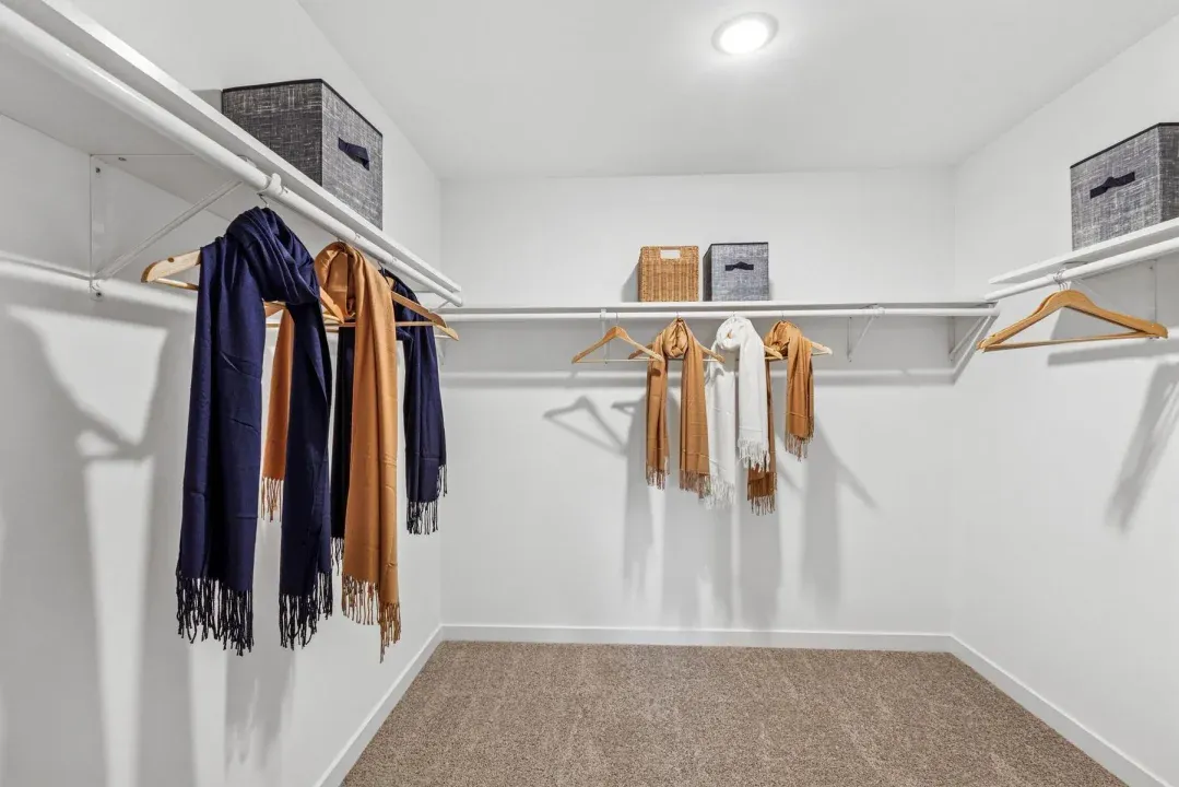 Primary Walk-in Closet