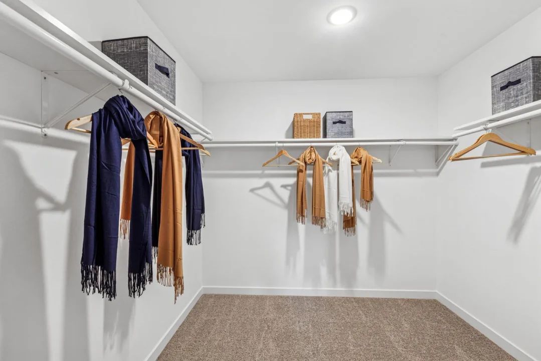 Primary Walk-in Closet