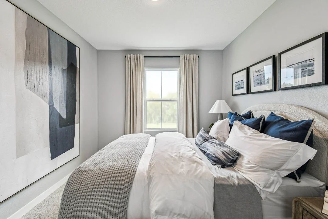 Extra Suite Plus