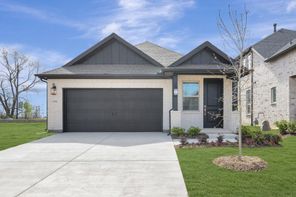 806 Sagebrush Trail (Blueberry Ash)