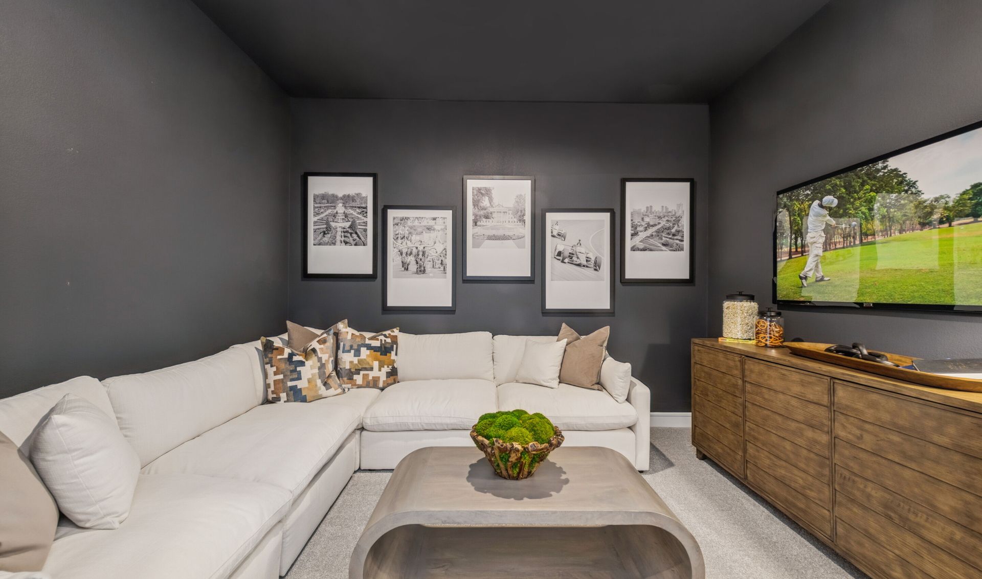 Media Room