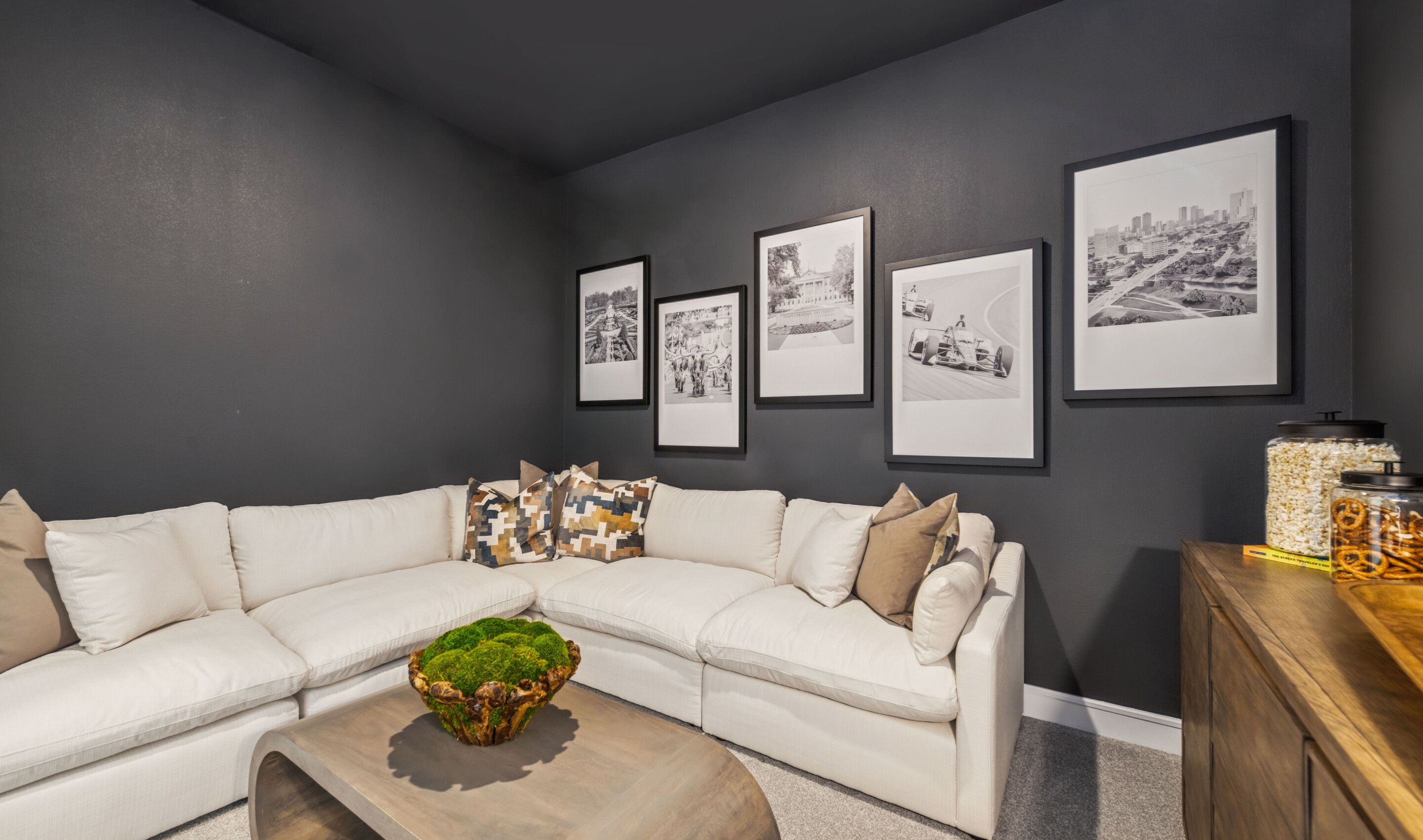 Media Room