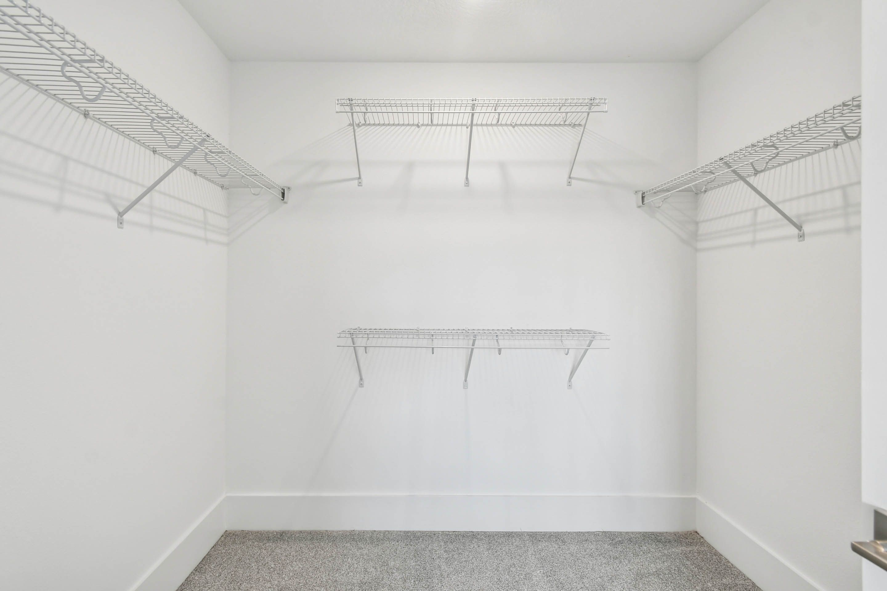Primary Walk-In Closet