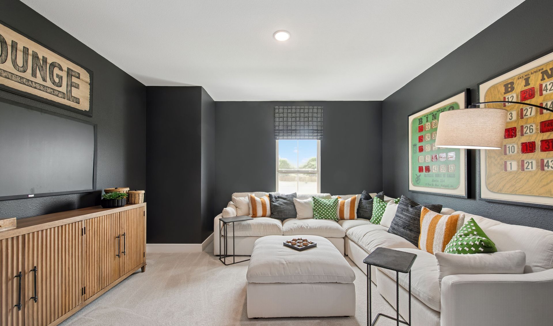 Media room with plush carpeting