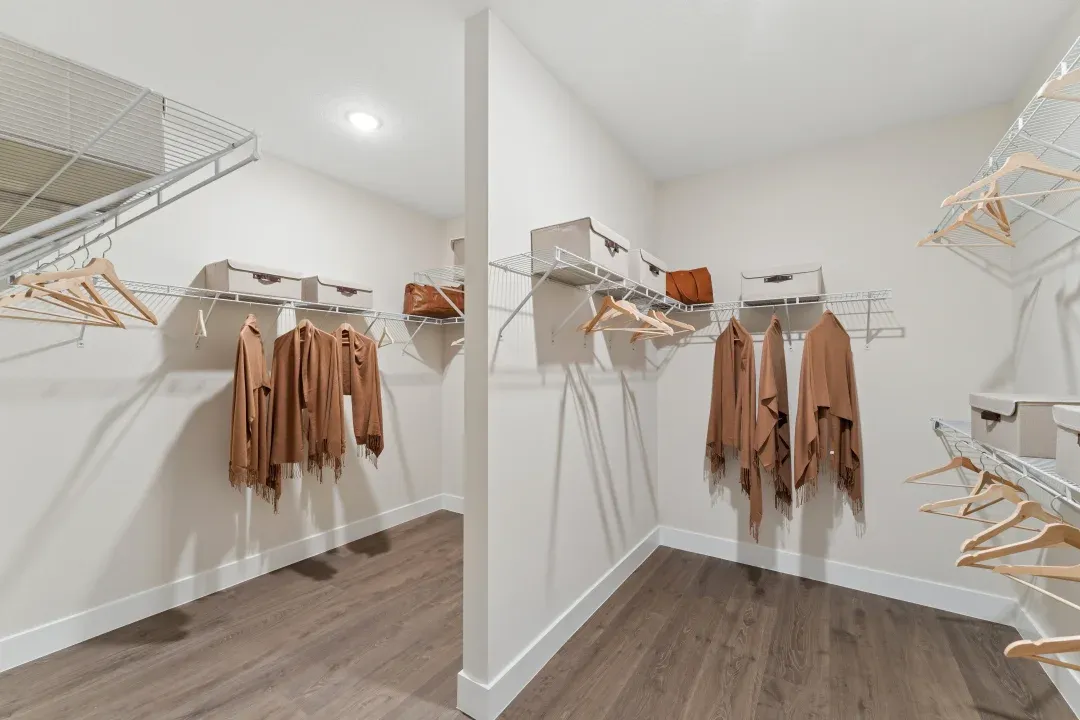 Primary Walk-In Closet