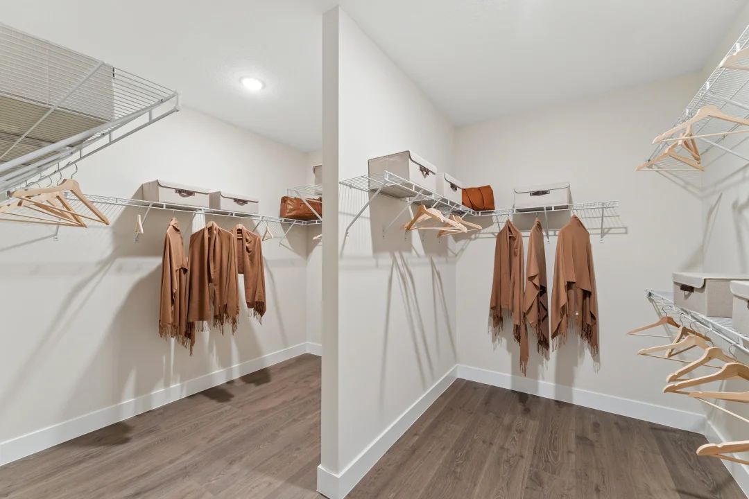 Primary Walk-In Closet