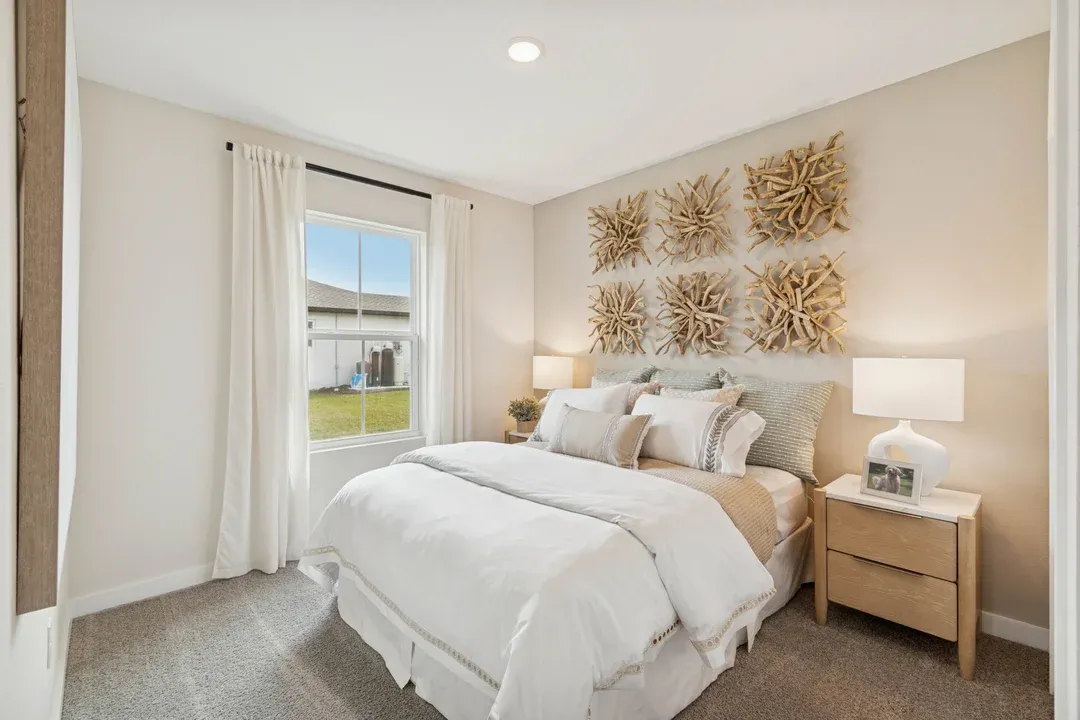 Extra Suite Plus