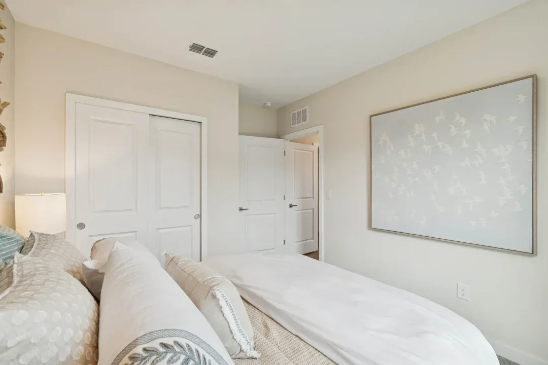 Extra Suite Plus