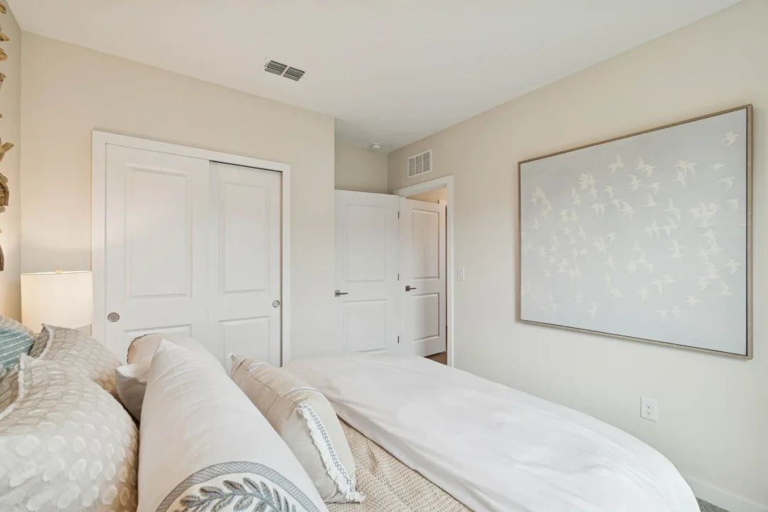 Extra Suite Plus