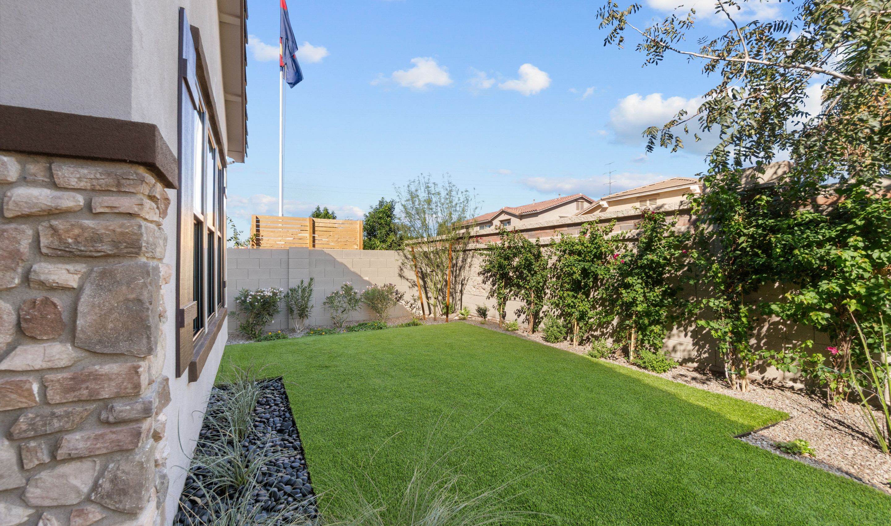 Backyard