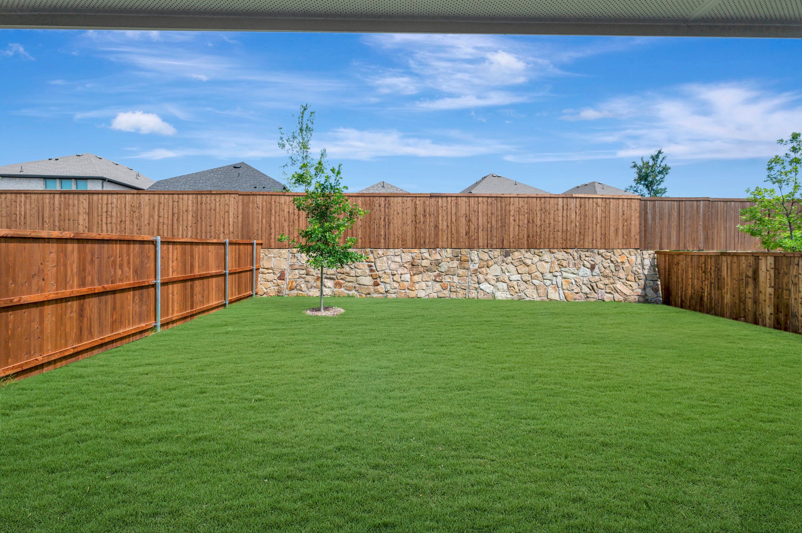 Backyard - May 11, 2026