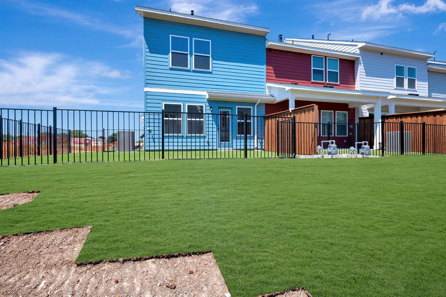 Backyard - May 13, 2026