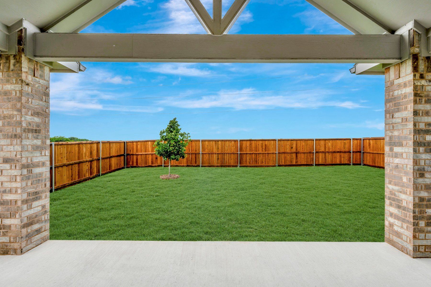 Backyard - May 18, 2026