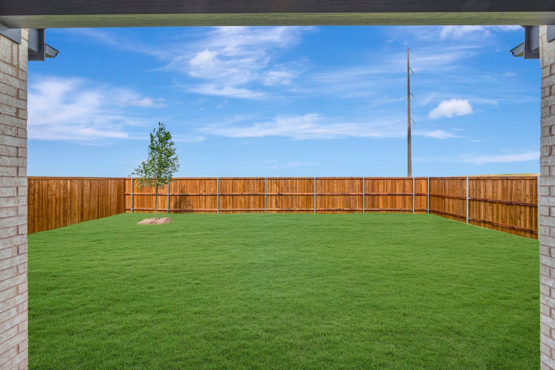 Backyard - June 17, 2026
