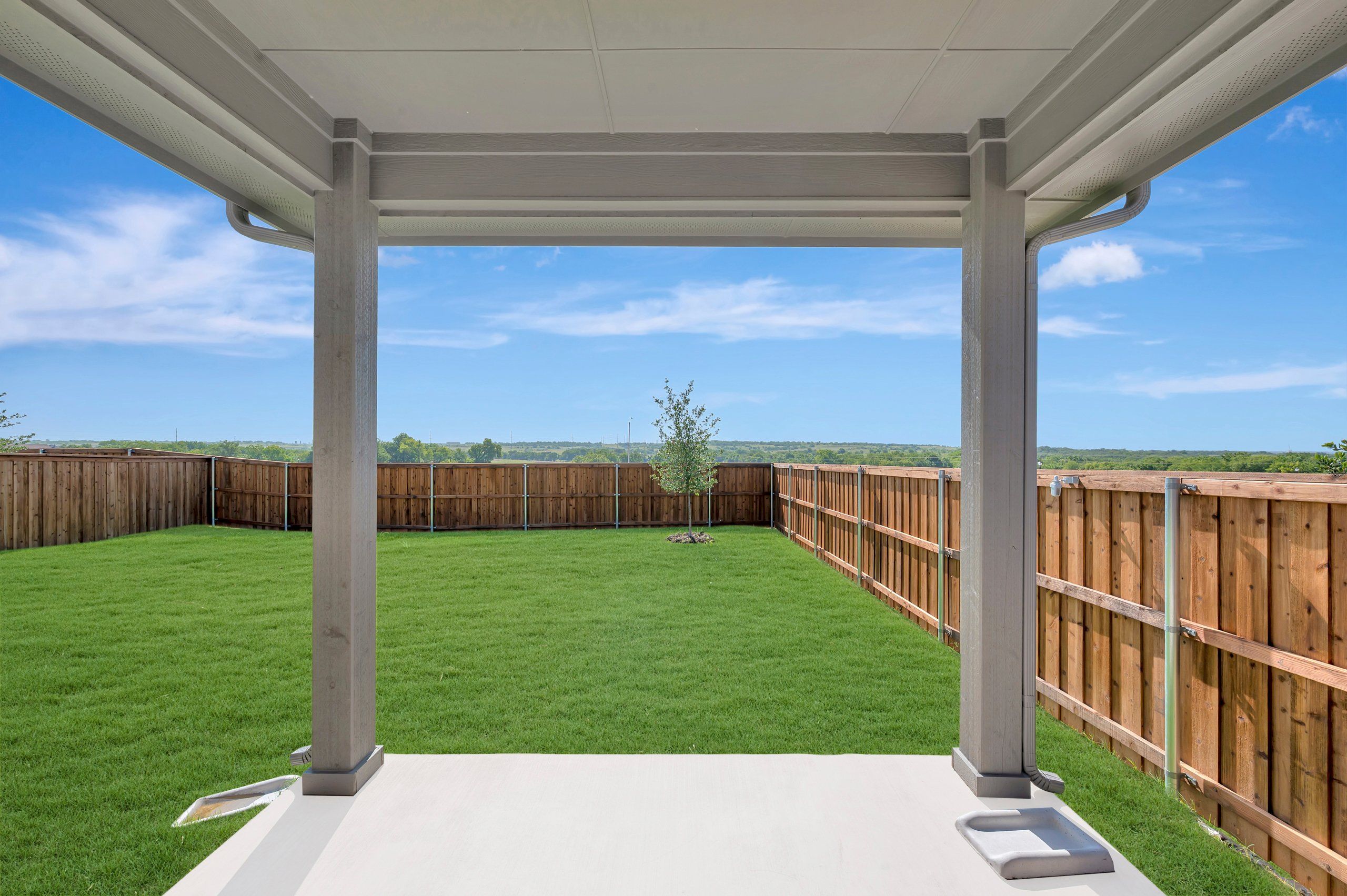 Backyard - July 21, 2026