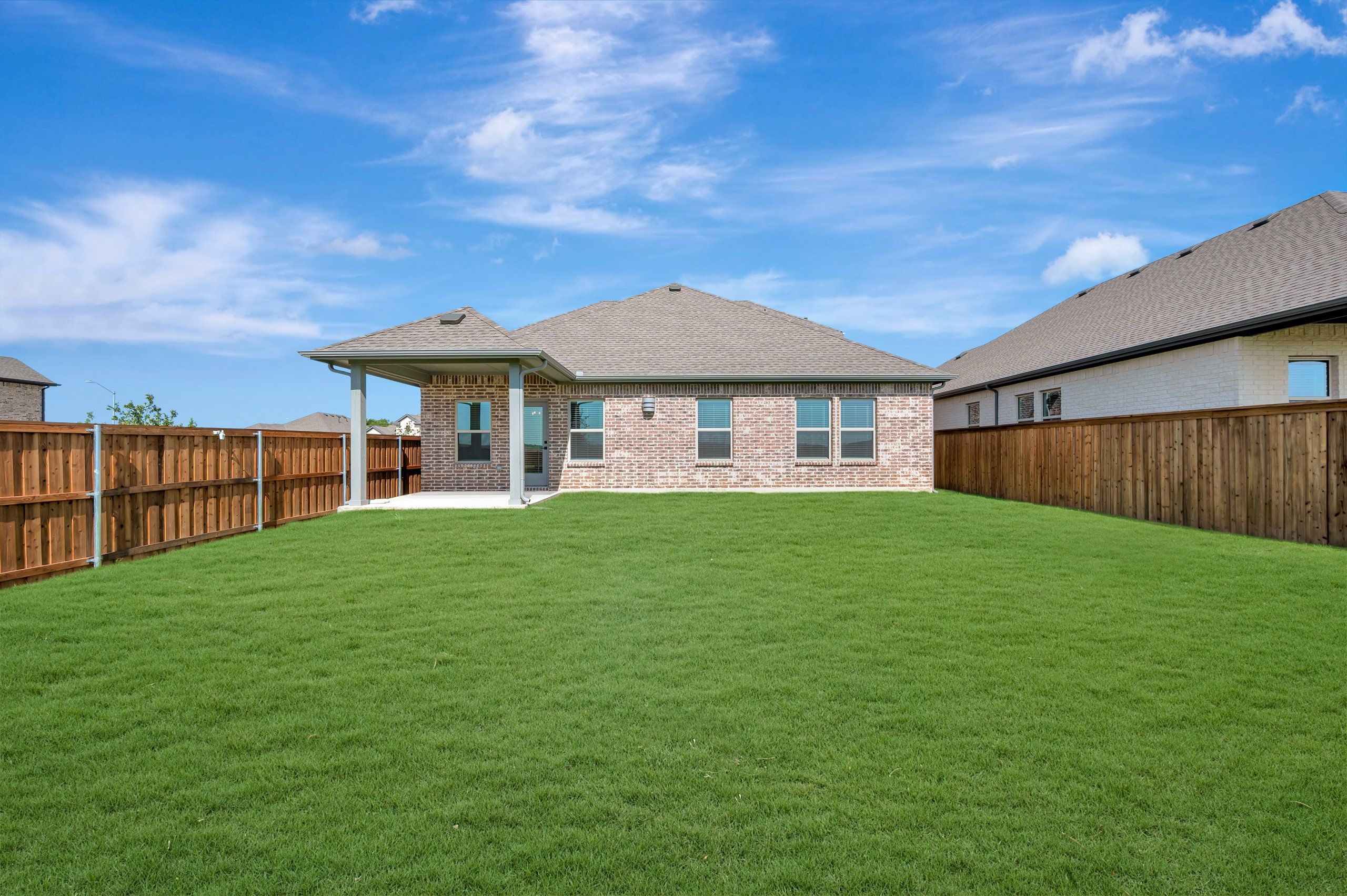 Backyard - July 21, 2026