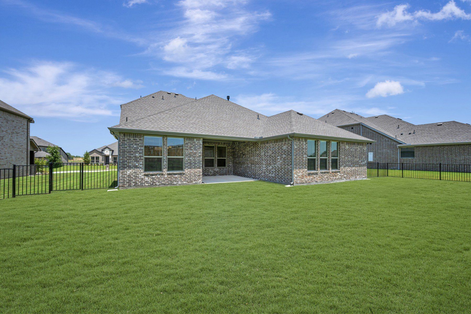 Backyard - July 22, 2026