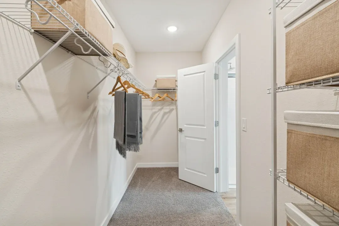 Primary Walk-In Closet