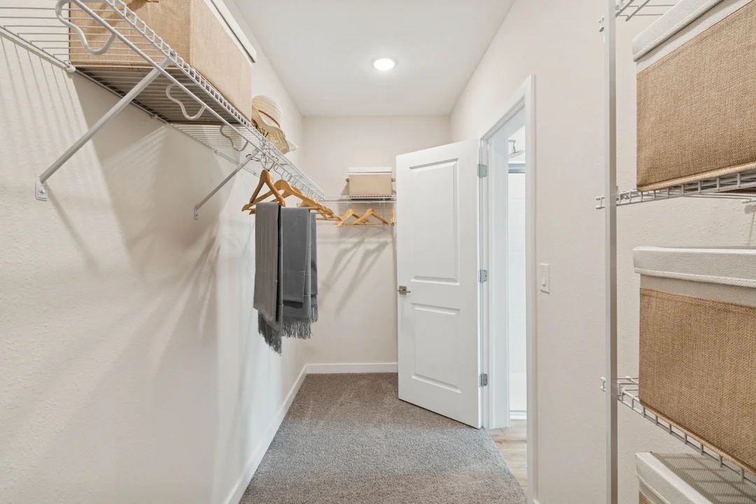 Primary Walk-In Closet