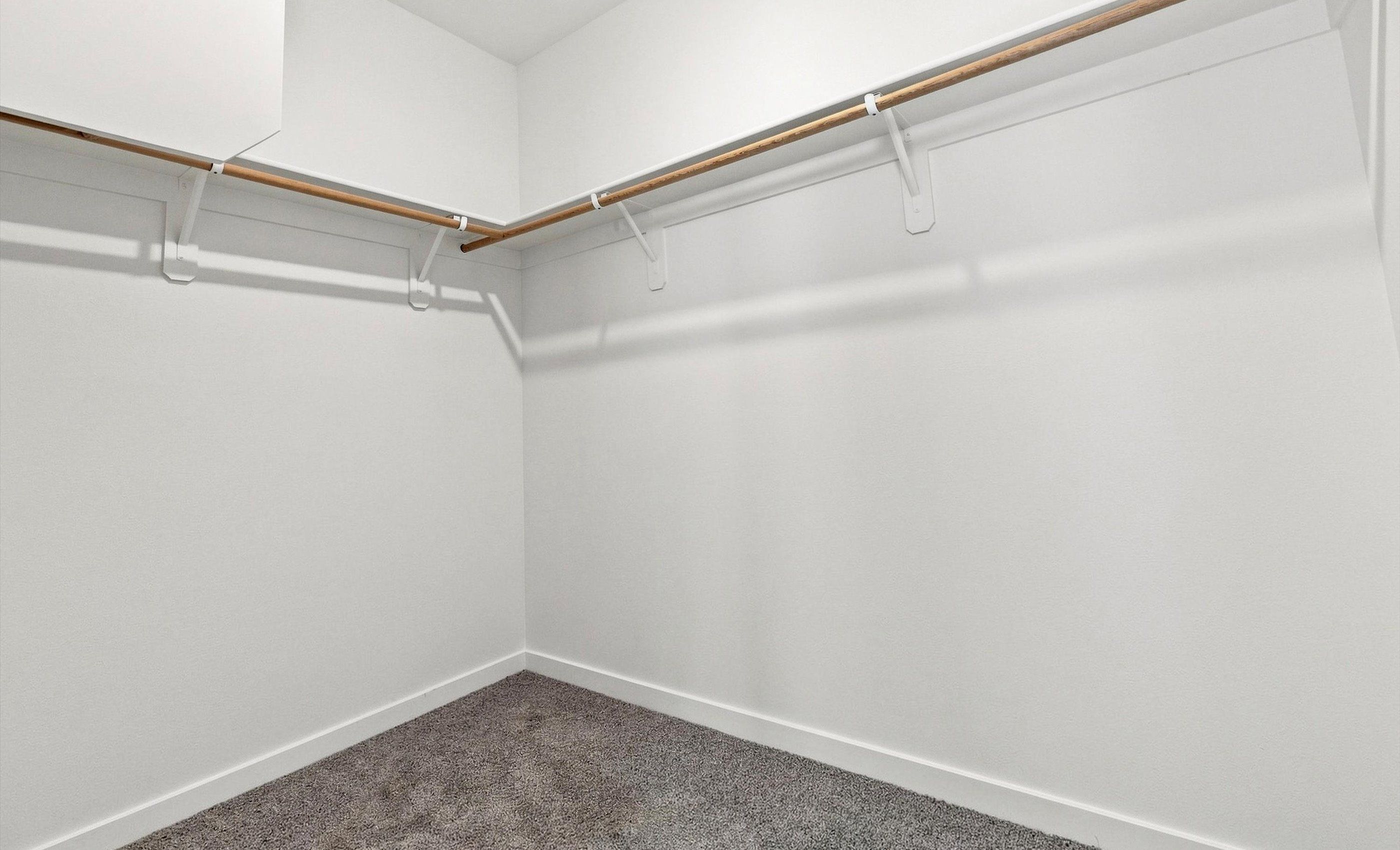 Primary Walk-In Closet