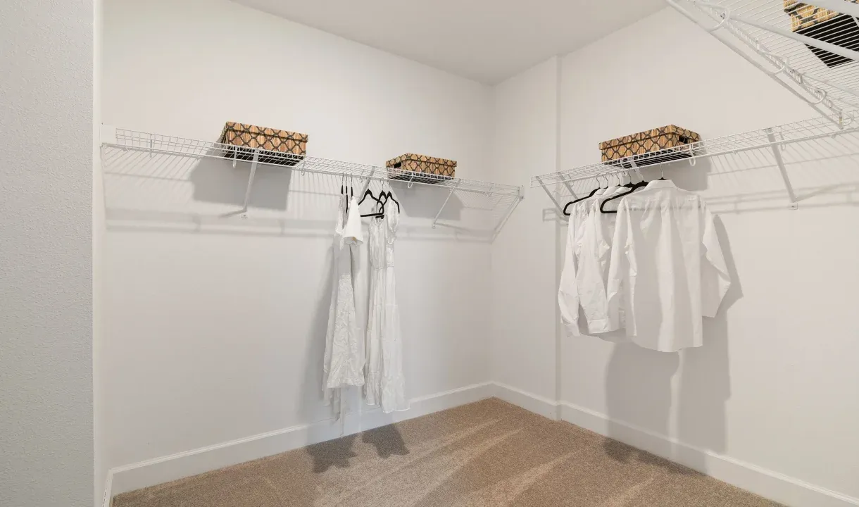 Primary Closet