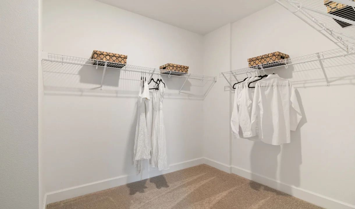 Primary Closet