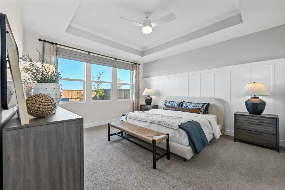 Primary suite with tray ceiling
