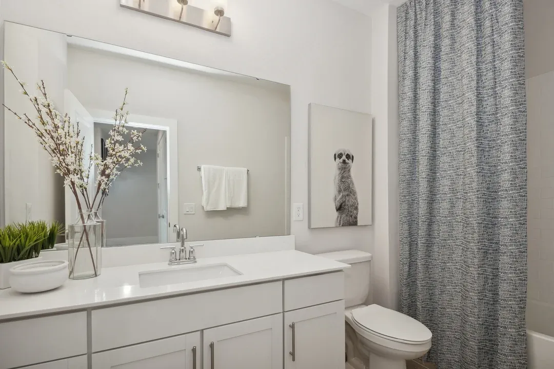 Hall Bath
