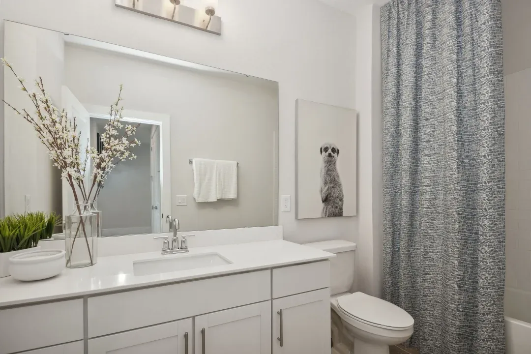 Hall Bath