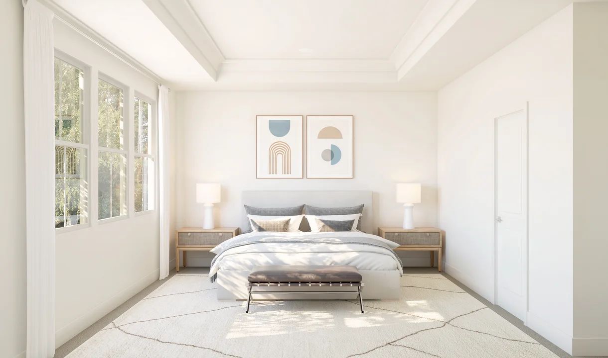 Primary suite with tray ceiling