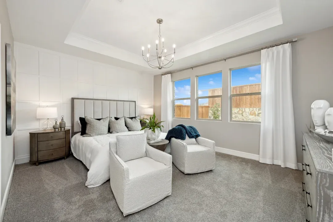 Primary suite with tray ceiling