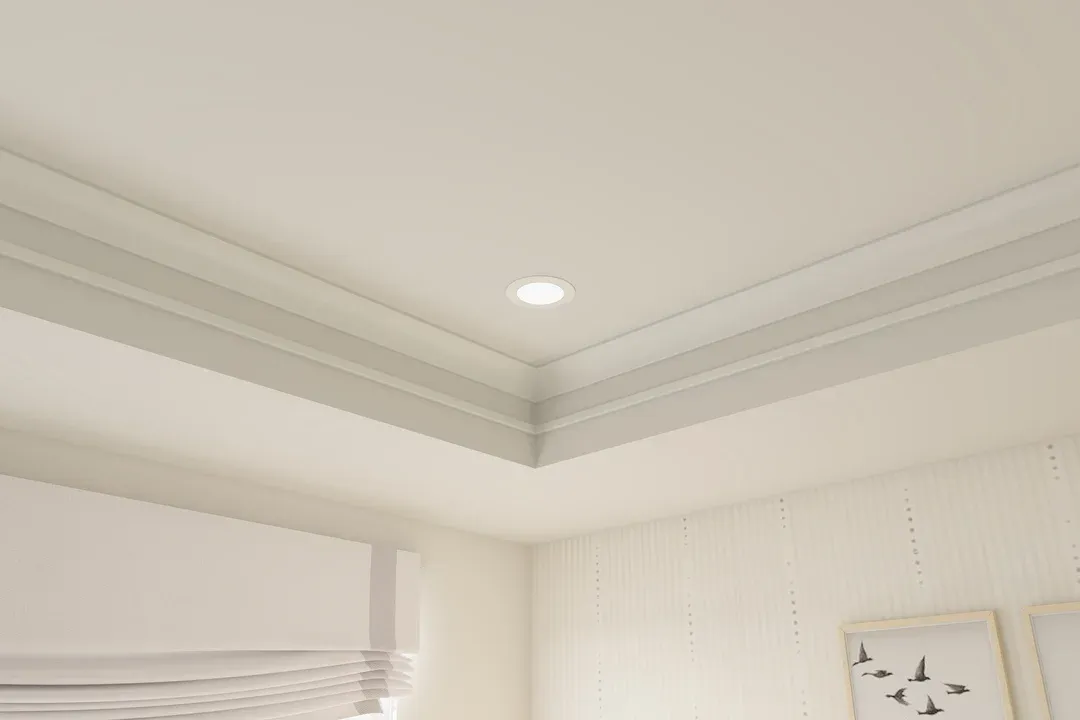 Decorative tray ceiling in primary suite