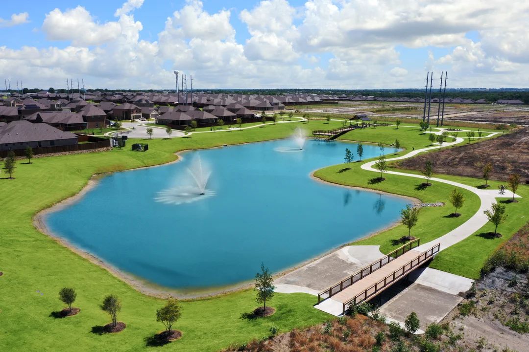 Pond