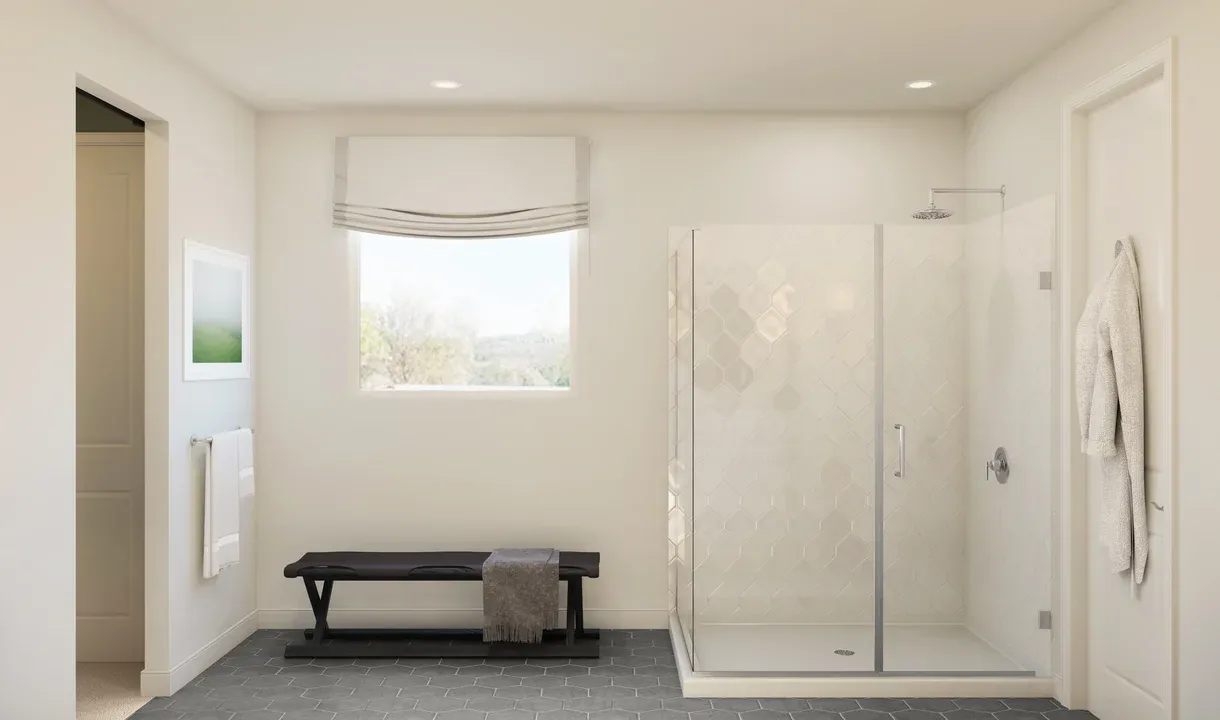 Primary bath glass shower enclosure