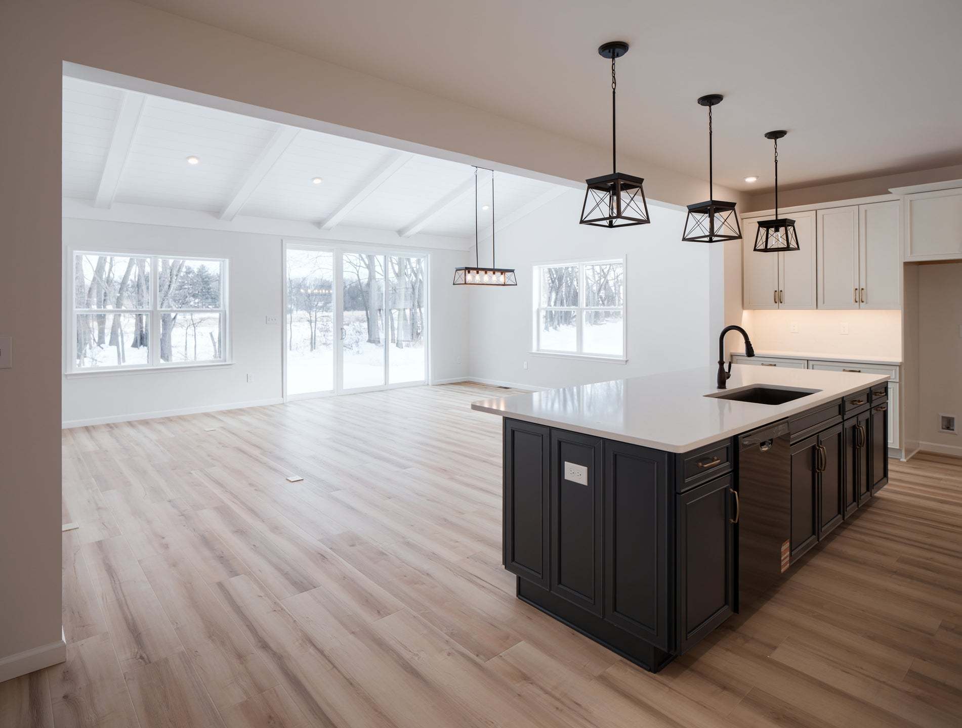 Standard Kitchen w/Upgrades and Family Room