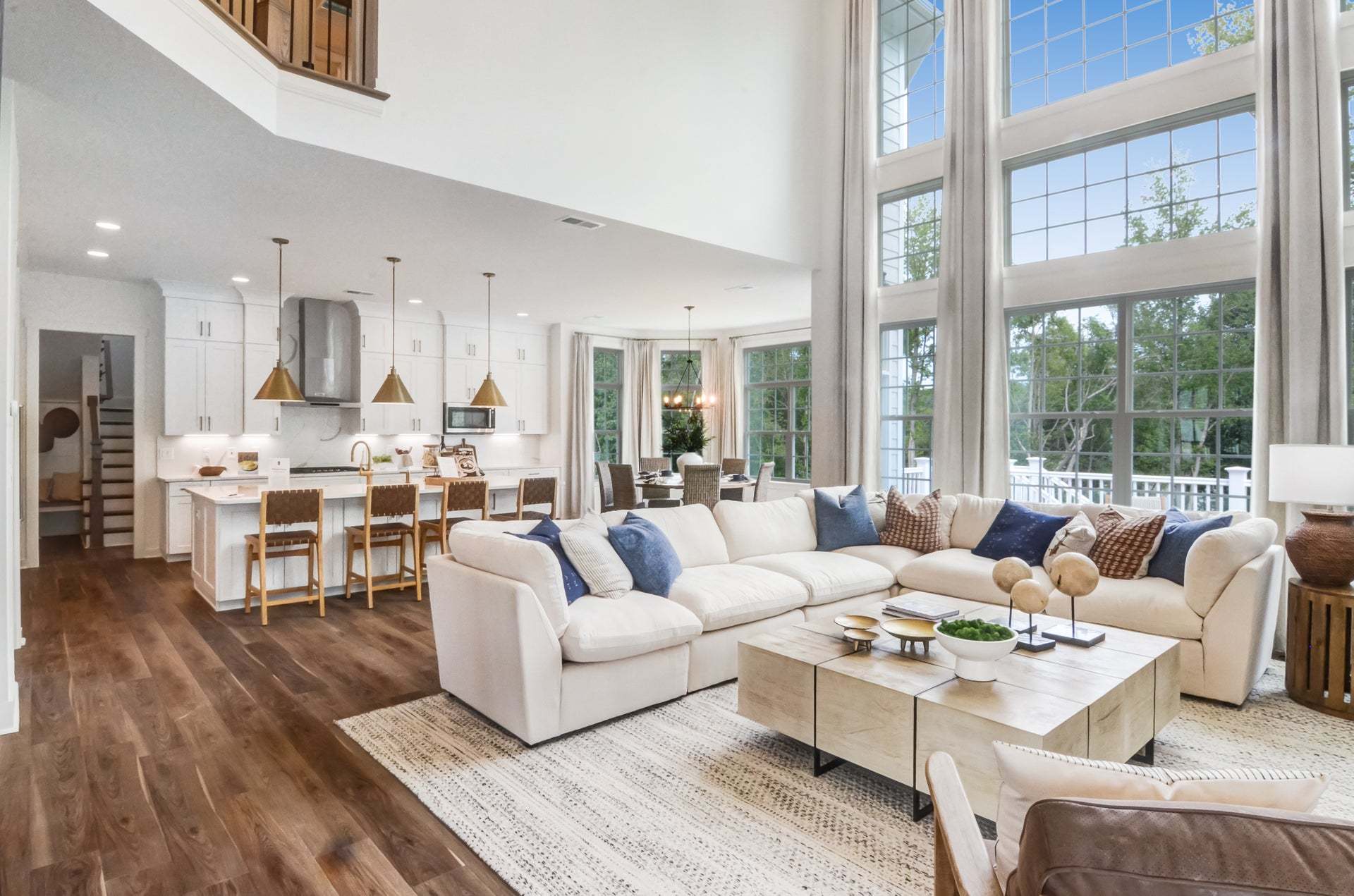 Family Room and Chef's Kitchen