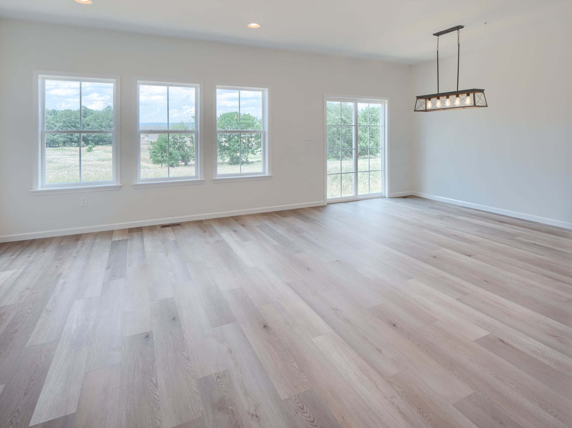 Family Room and Dining Room