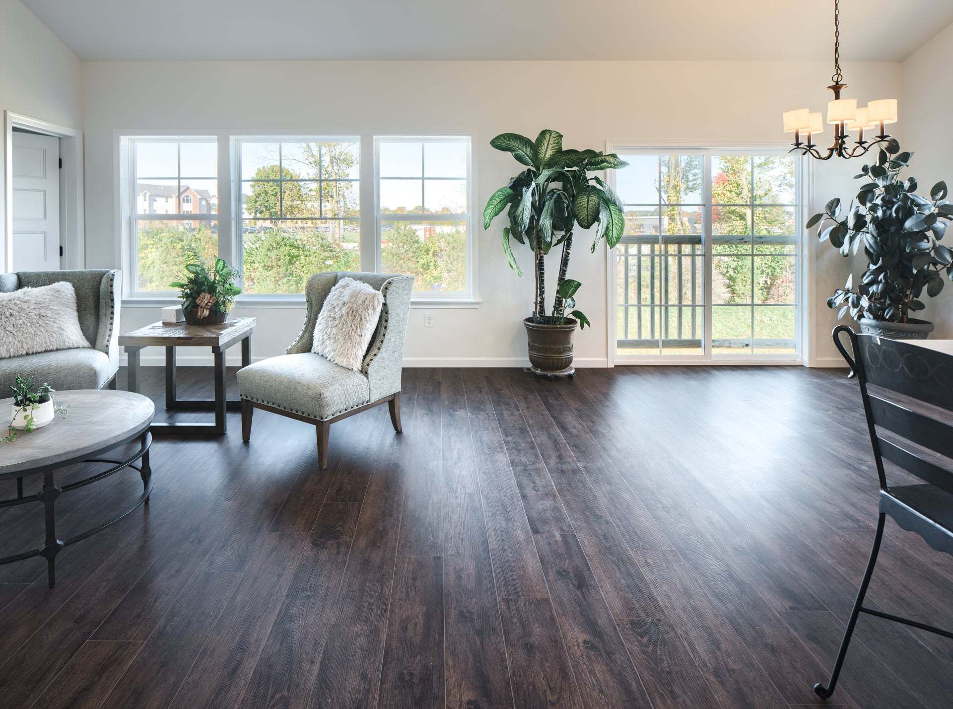 Family Room and Dining Room