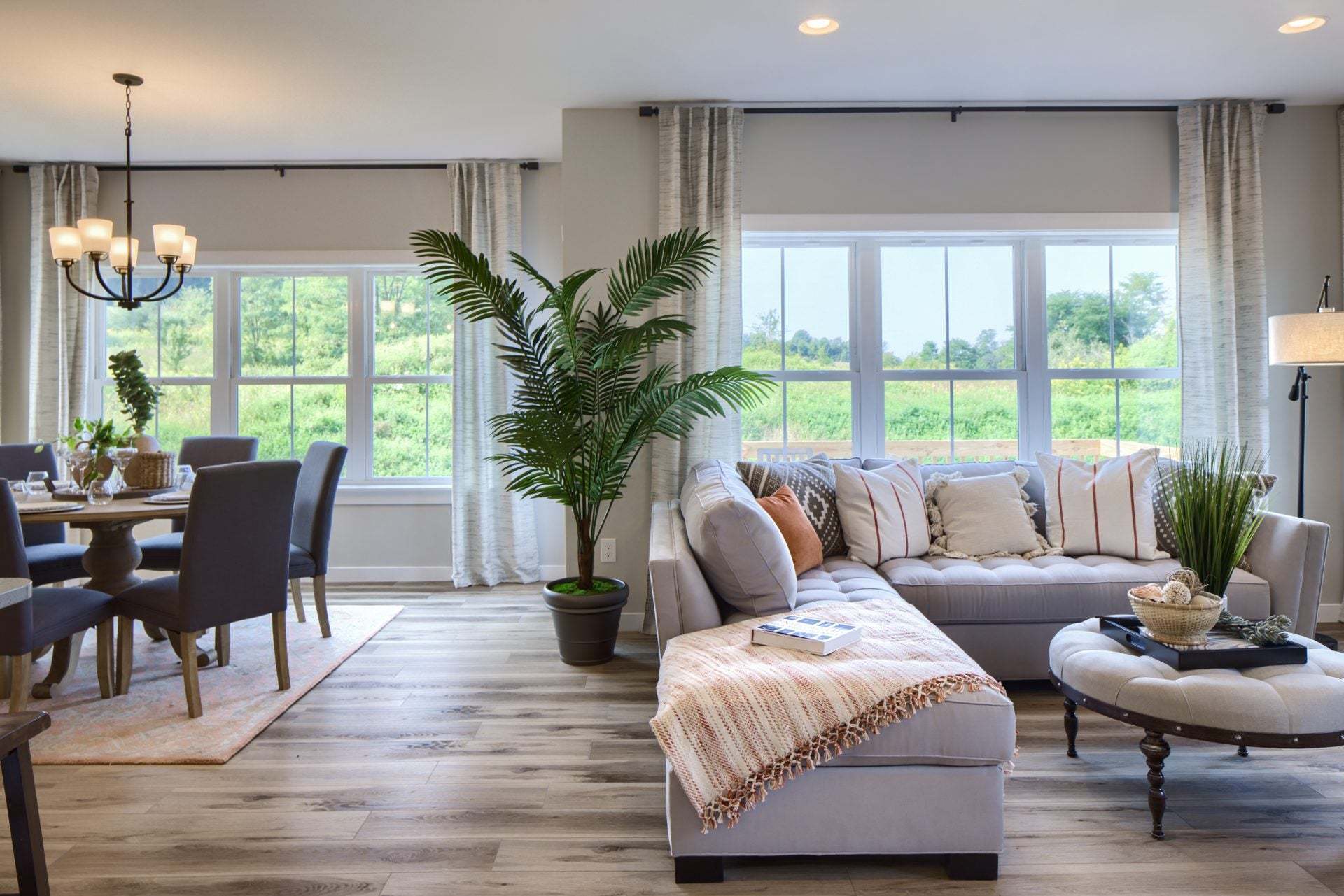 Family Room and Dining Room