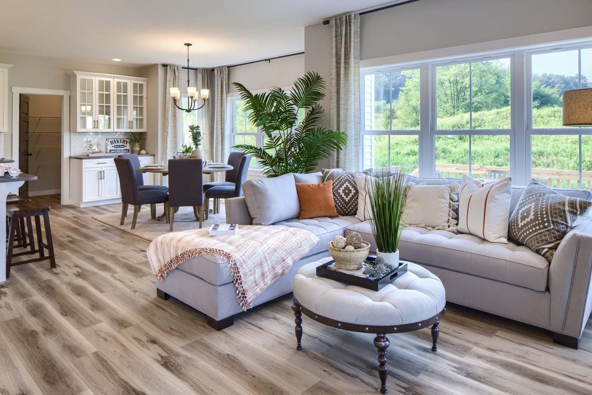 Family Room and Dining Room