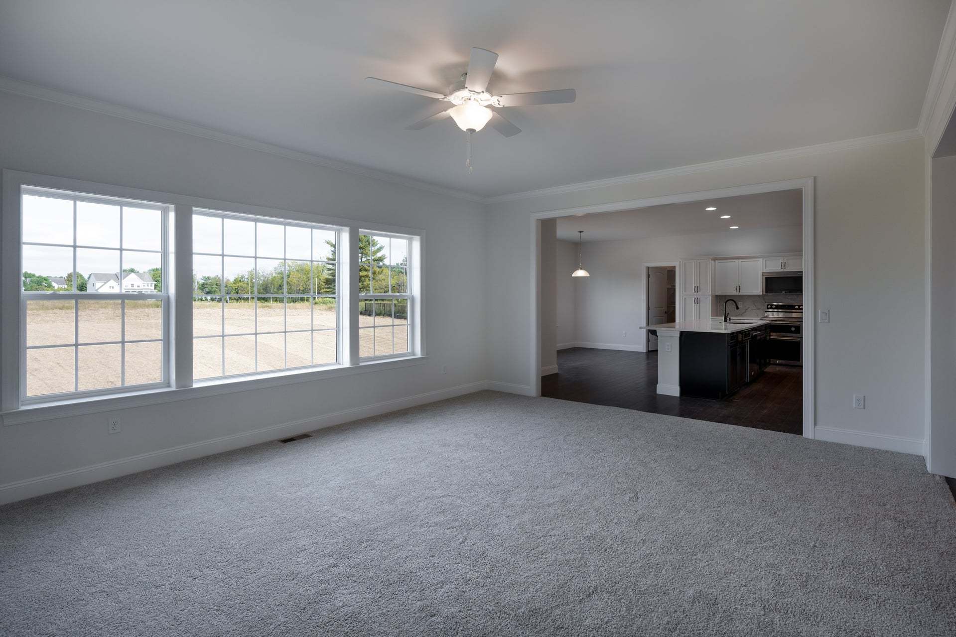 Family Room and Standard Kitchen w/Upgrades