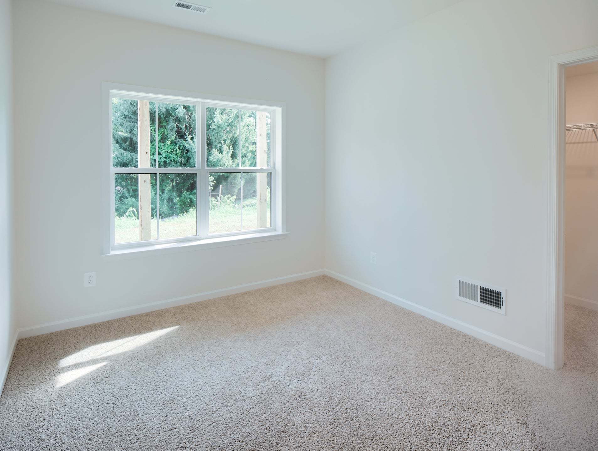 Guest Suite