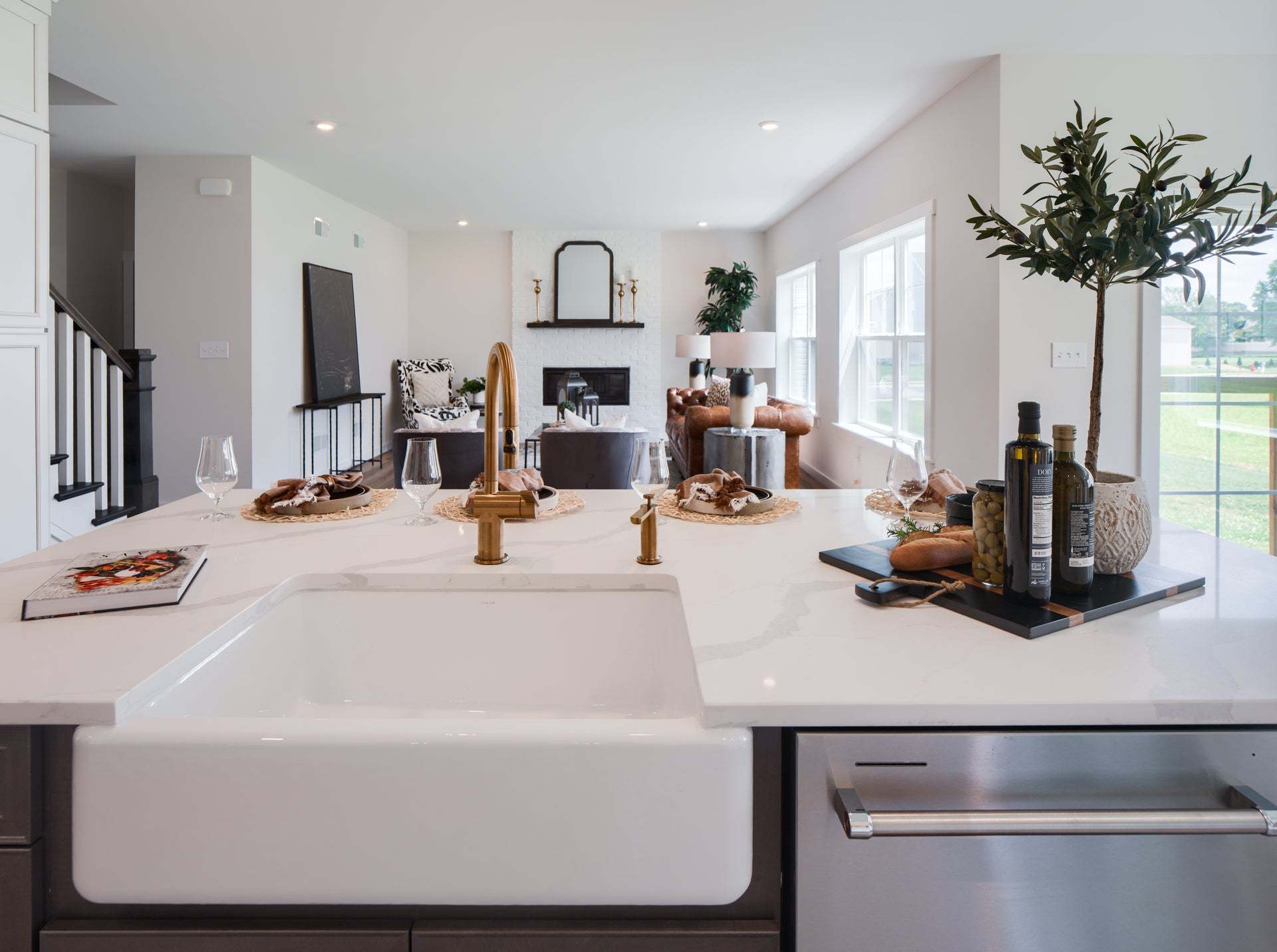 Chef' Kitchen & Family Room