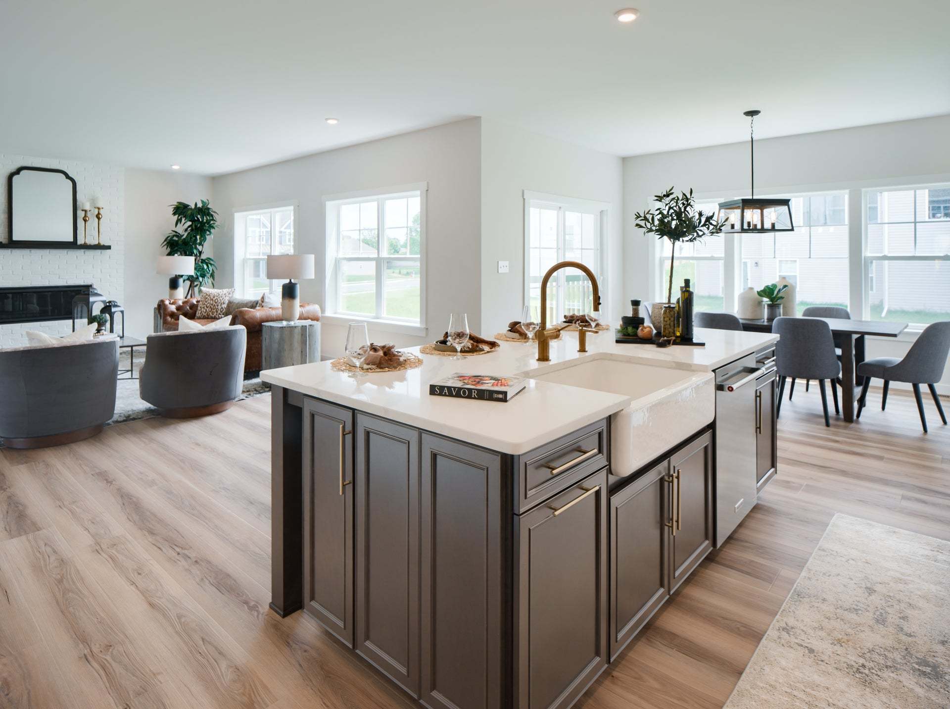 Chef's Kitchen and Family Room
